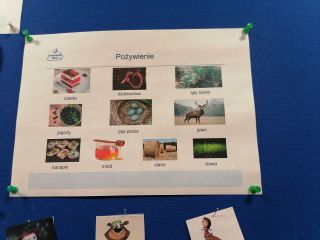 IMG_20230203_151110_1